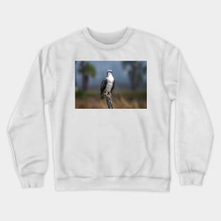 Osprey Patiently Waiting Crewneck Sweatshirt